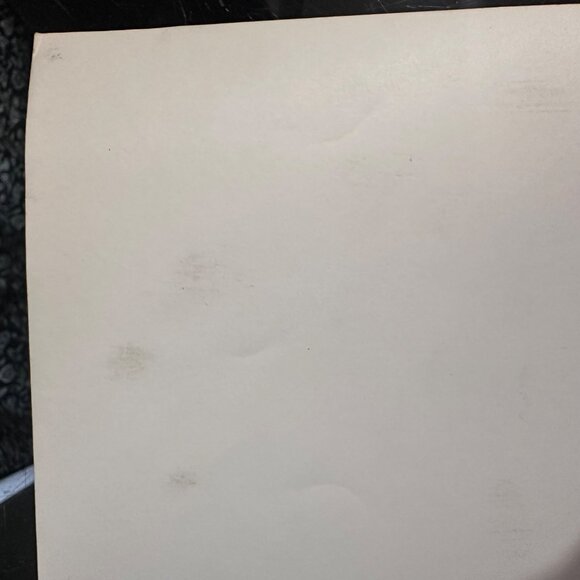 Vintage 1961 Warner Bros. Movie Still "Susan Slade" Featuring Connie Stevens & T - Picture 10 of 14